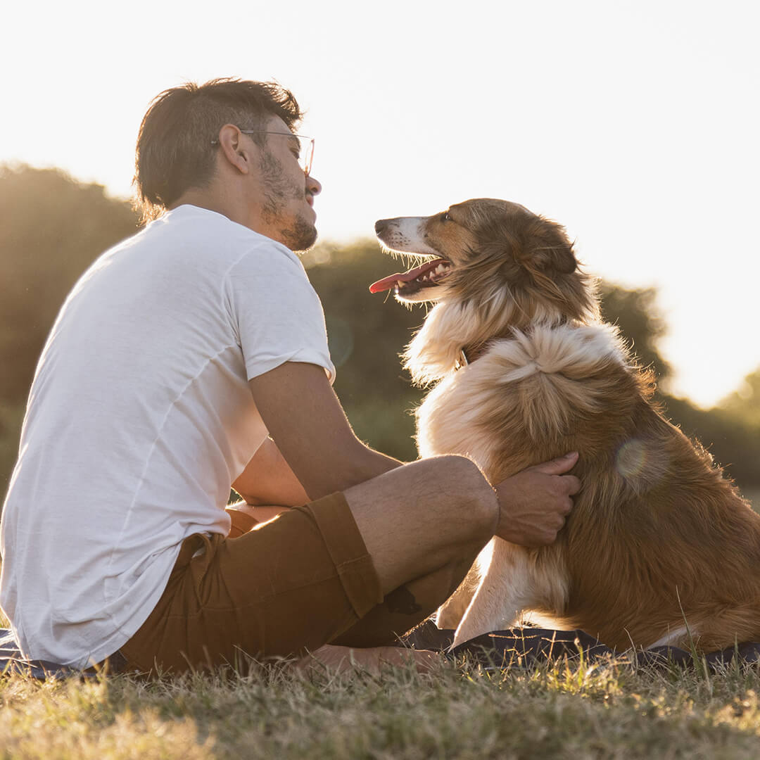 Tips for keeping your dog healthy and safe